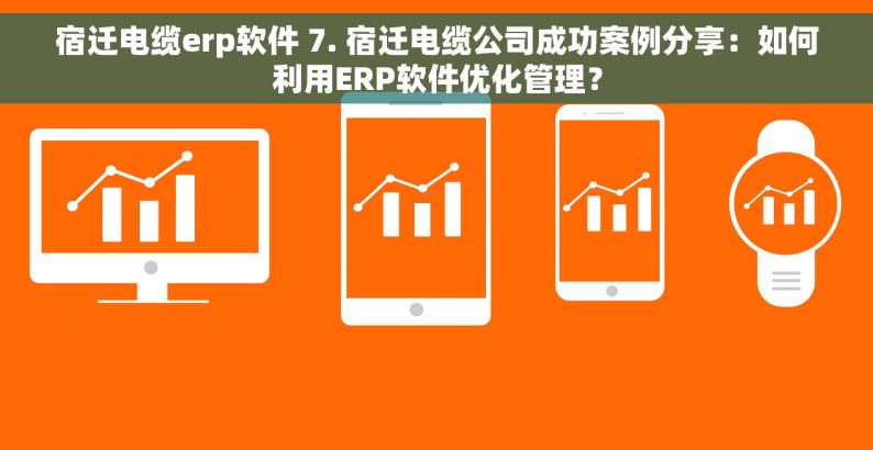 宿迁电缆erp软件 7. 宿迁电缆公司成功案例分享：如何利用ERP软件优化管理？