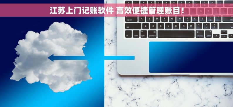 江苏上门记账软件 高效便捷管理账目！