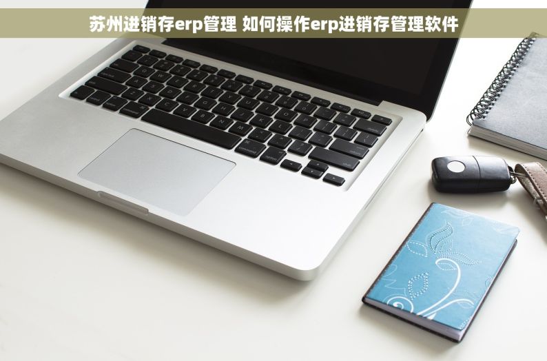 苏州进销存erp管理 如何操作erp进销存管理软件