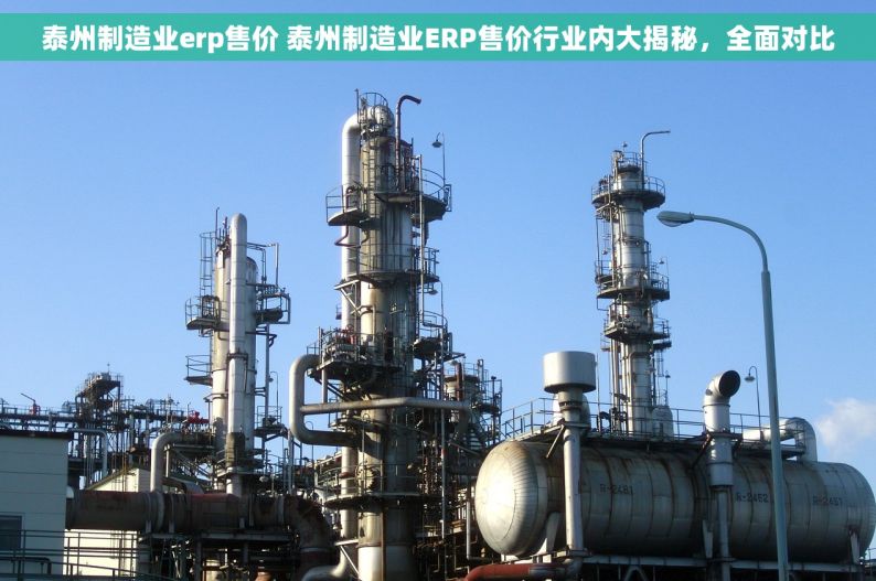 泰州制造业erp售价 泰州制造业ERP售价行业内大揭秘，全面对比