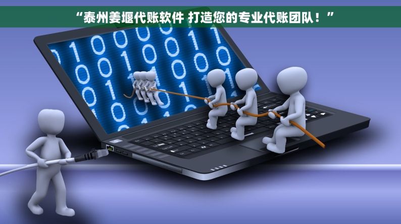  “泰州姜堰代账软件 打造您的专业代账团队！”