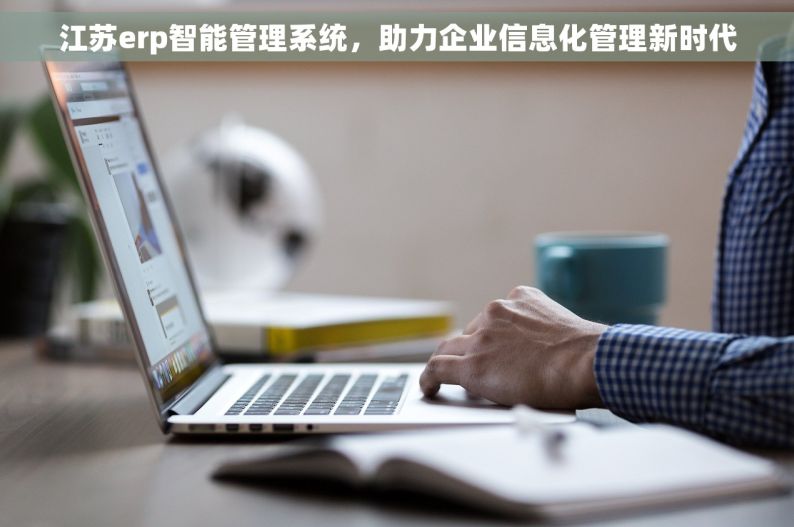 江苏erp智能管理系统，助力企业信息化管理新时代