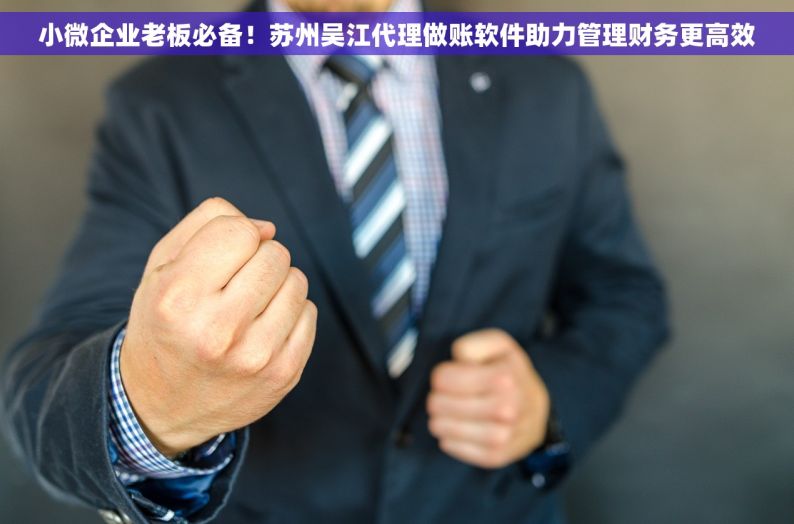 小微企业老板必备！苏州吴江代理做账软件助力管理财务更高效