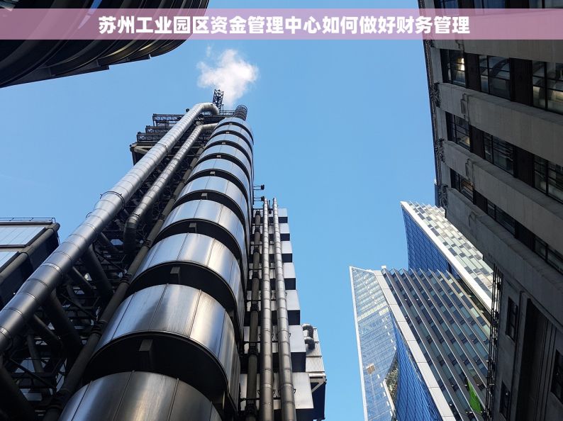  苏州工业园区资金管理中心如何做好财务管理