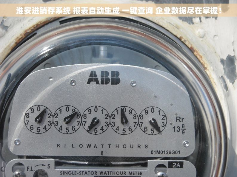 淮安进销存系统 报表自动生成 一键查询 企业数据尽在掌握！