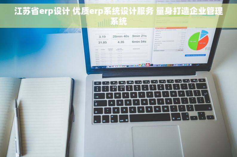 江苏省erp设计 优质erp系统设计服务 量身打造企业管理系统