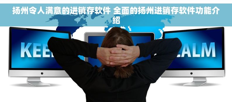 扬州令人满意的进销存软件 全面的扬州进销存软件功能介绍