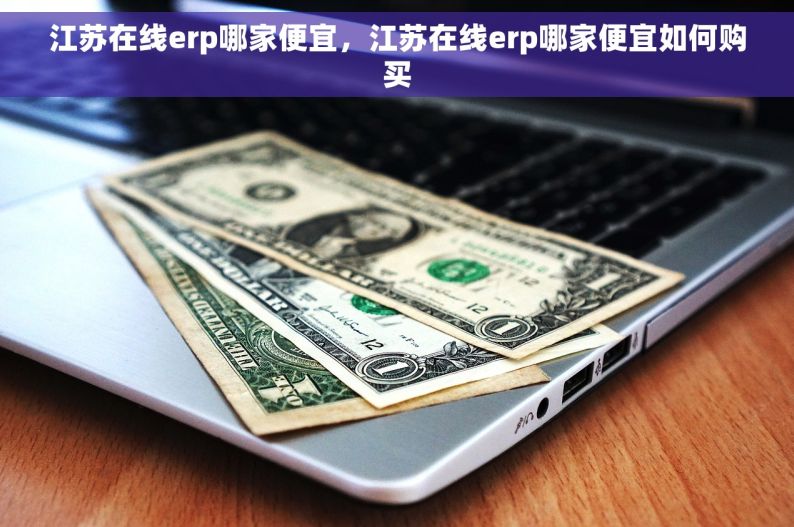 江苏在线erp哪家便宜，江苏在线erp哪家便宜如何购买