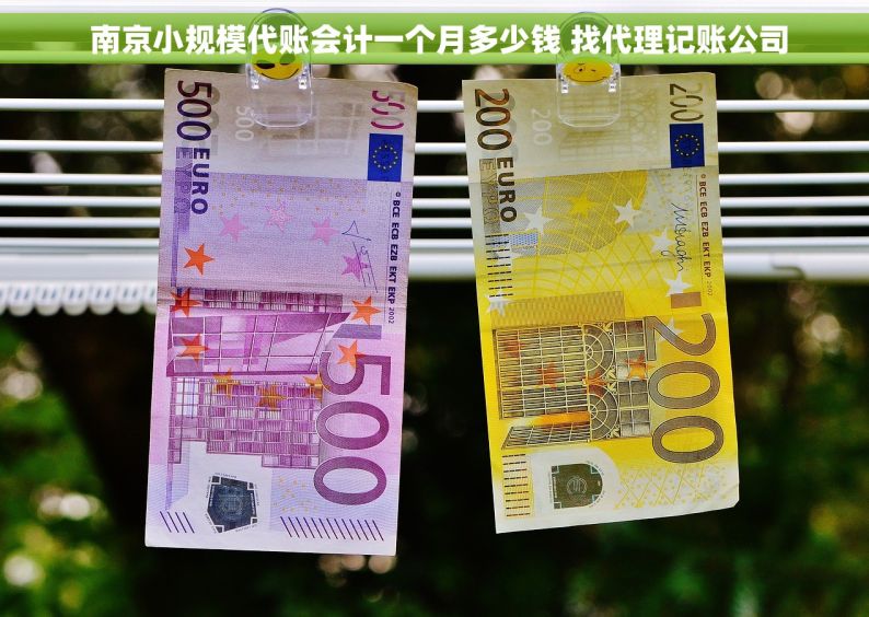  南京小规模代账会计一个月多少钱 找代理记账公司