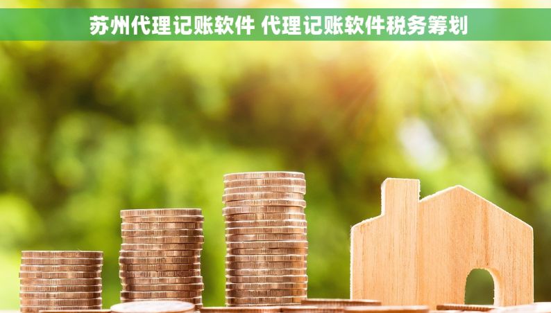  苏州代理记账软件 代理记账软件税务筹划