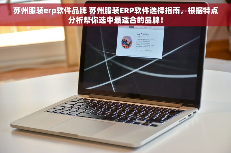 苏州服装erp软件品牌 苏州服装ERP软件选择指南，根据特点分析帮你选中最适合的品牌！