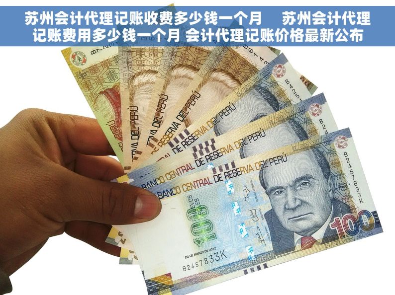 苏州会计代理记账收费多少钱一个月     苏州会计代理记账费用多少钱一个月 会计代理记账价格最新公布