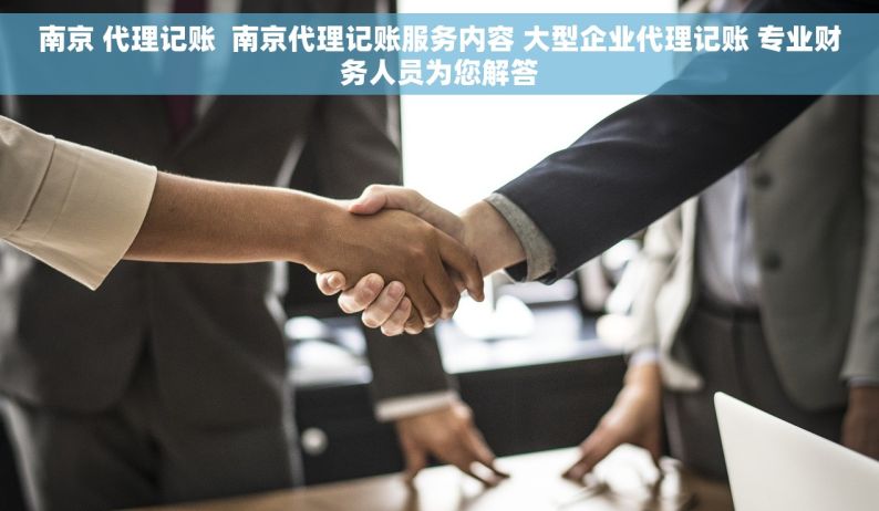 南京 代理记账  南京代理记账服务内容 大型企业代理记账 专业财务人员为您解答