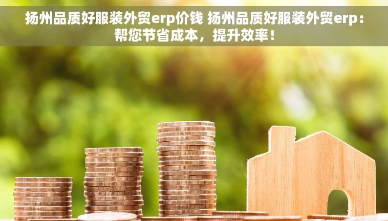 扬州品质好服装外贸erp价钱 扬州品质好服装外贸erp：帮您节省成本，提升效率！