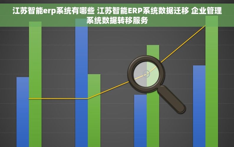 江苏智能erp系统有哪些 江苏智能ERP系统数据迁移 企业管理系统数据转移服务