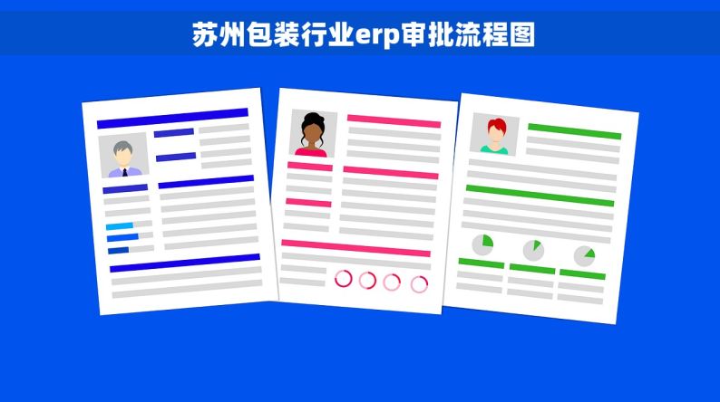  苏州包装行业erp审批流程图