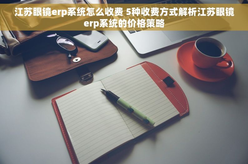 江苏眼镜erp系统怎么收费 5种收费方式解析江苏眼镜erp系统的价格策略