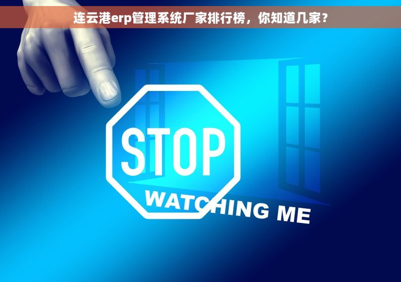 连云港erp管理系统厂家排行榜，你知道几家？