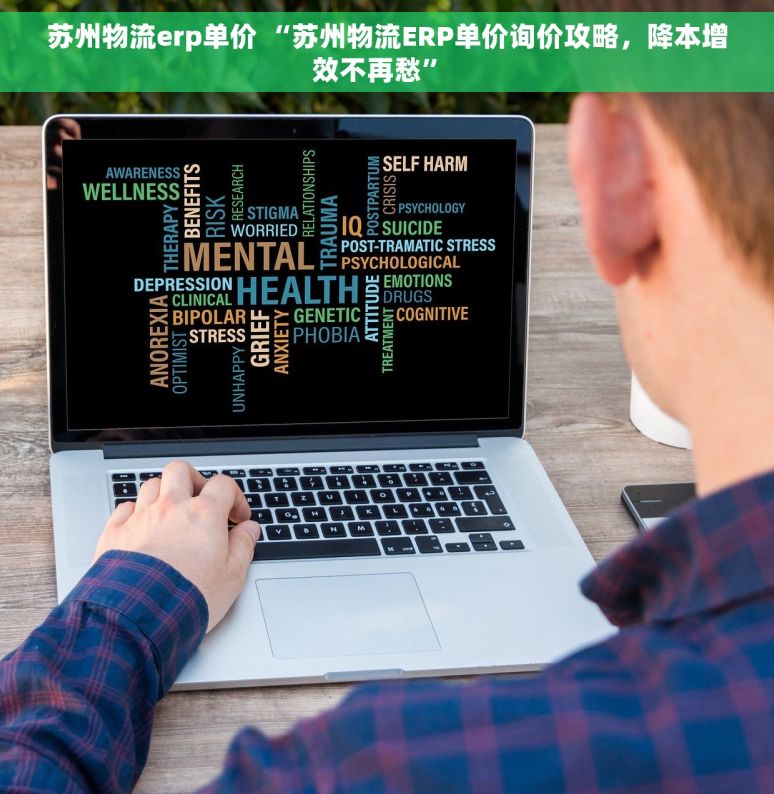 苏州物流erp单价 “苏州物流ERP单价询价攻略，降本增效不再愁”  