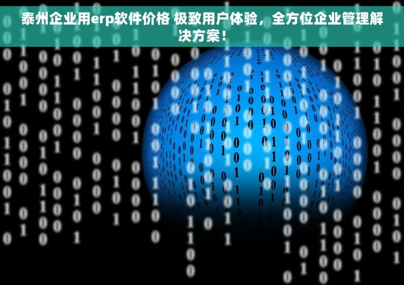 泰州企业用erp软件价格 极致用户体验，全方位企业管理解决方案！