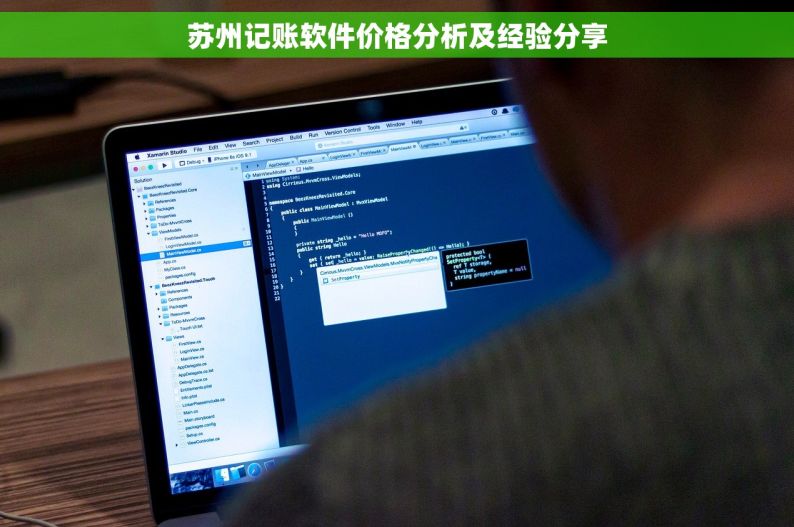 苏州记账软件价格分析及经验分享