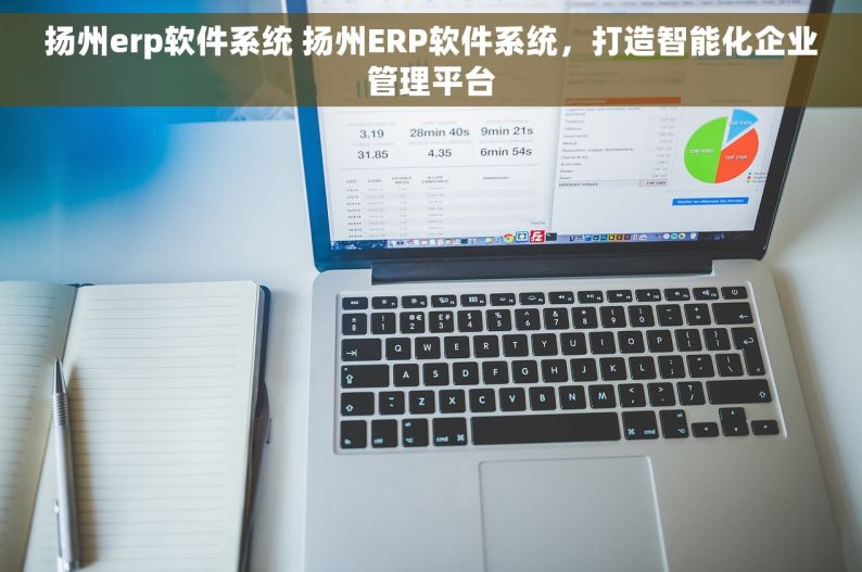 扬州erp软件系统 扬州ERP软件系统，打造智能化企业管理平台