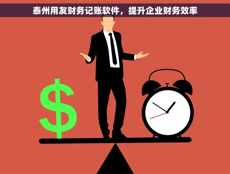 泰州用友财务记账软件，提升企业财务效率