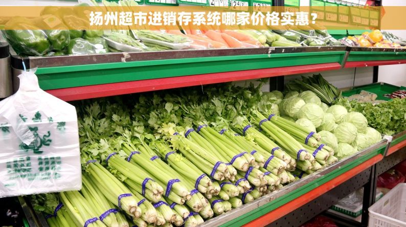 扬州超市进销存系统哪家价格实惠？