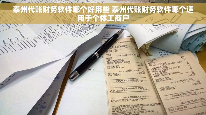 泰州代账财务软件哪个好用些 泰州代账财务软件哪个适用于个体工商户