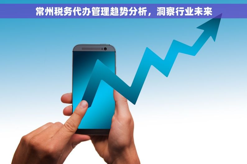 常州税务代办管理趋势分析，洞察行业未来