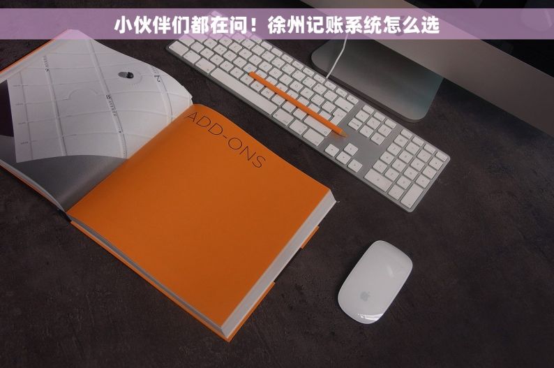 小伙伴们都在问！徐州记账系统怎么选