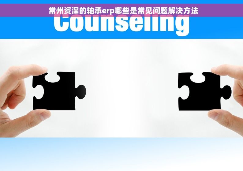   常州资深的轴承erp哪些是常见问题解决方法