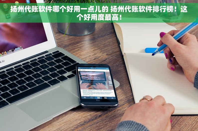 扬州代账软件哪个好用一点儿的 扬州代账软件排行榜！这个好用度最高！