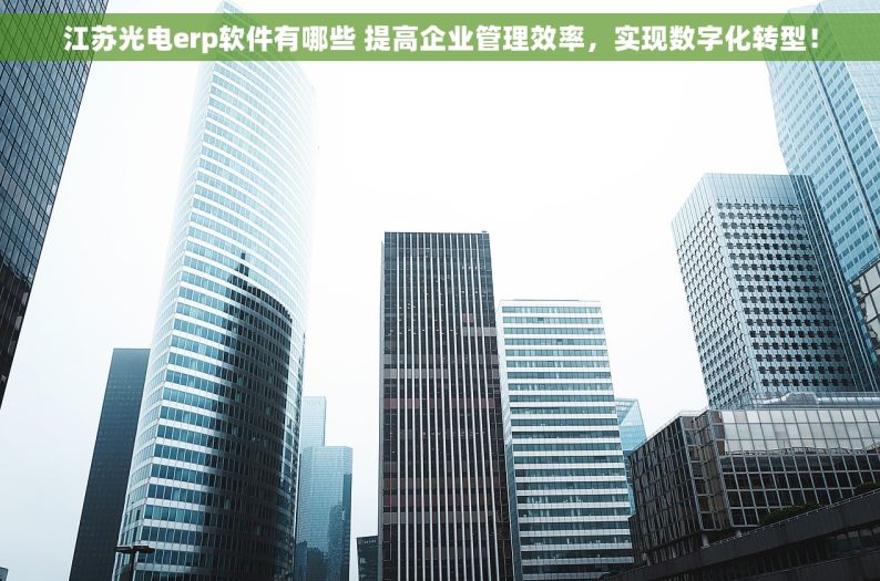 江苏光电erp软件有哪些 提高企业管理效率，实现数字化转型！