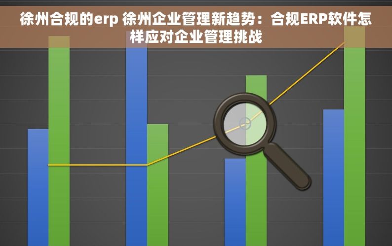 徐州合规的erp 徐州企业管理新趋势：合规ERP软件怎样应对企业管理挑战