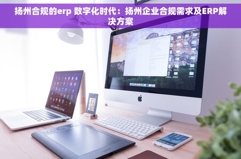 扬州合规的erp 数字化时代：扬州企业合规需求及ERP解决方案