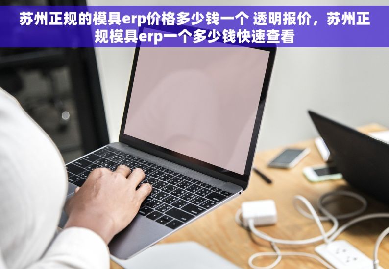 苏州正规的模具erp价格多少钱一个 透明报价，苏州正规模具erp一个多少钱快速查看