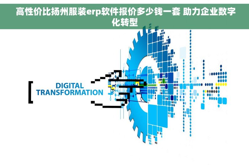  高性价比扬州服装erp软件报价多少钱一套 助力企业数字化转型