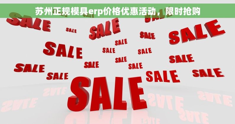 苏州正规模具erp价格优惠活动，限时抢购