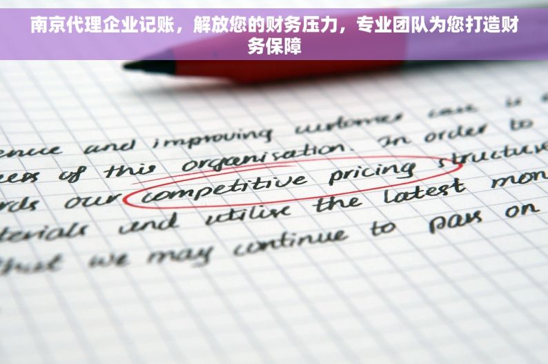 南京代理企业记账，解放您的财务压力，专业团队为您打造财务保障