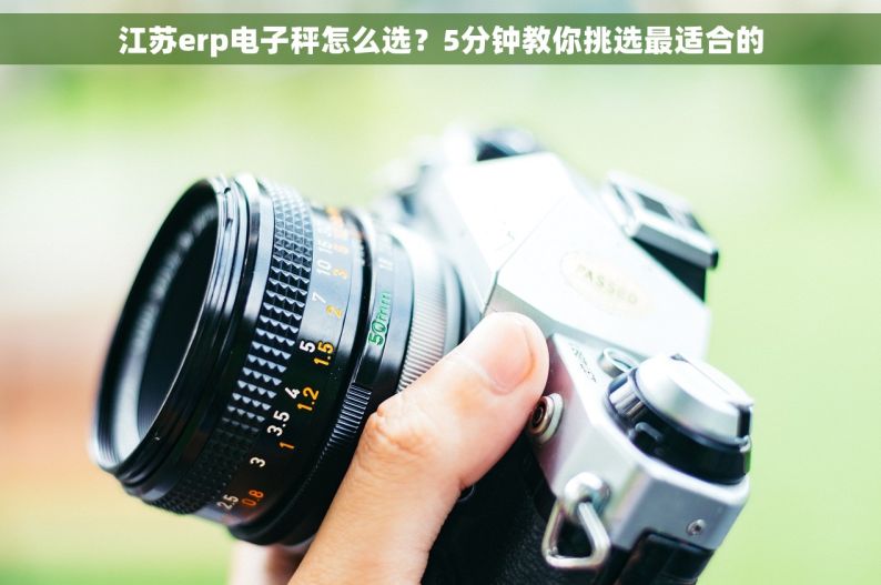江苏erp电子秤怎么选？5分钟教你挑选最适合的