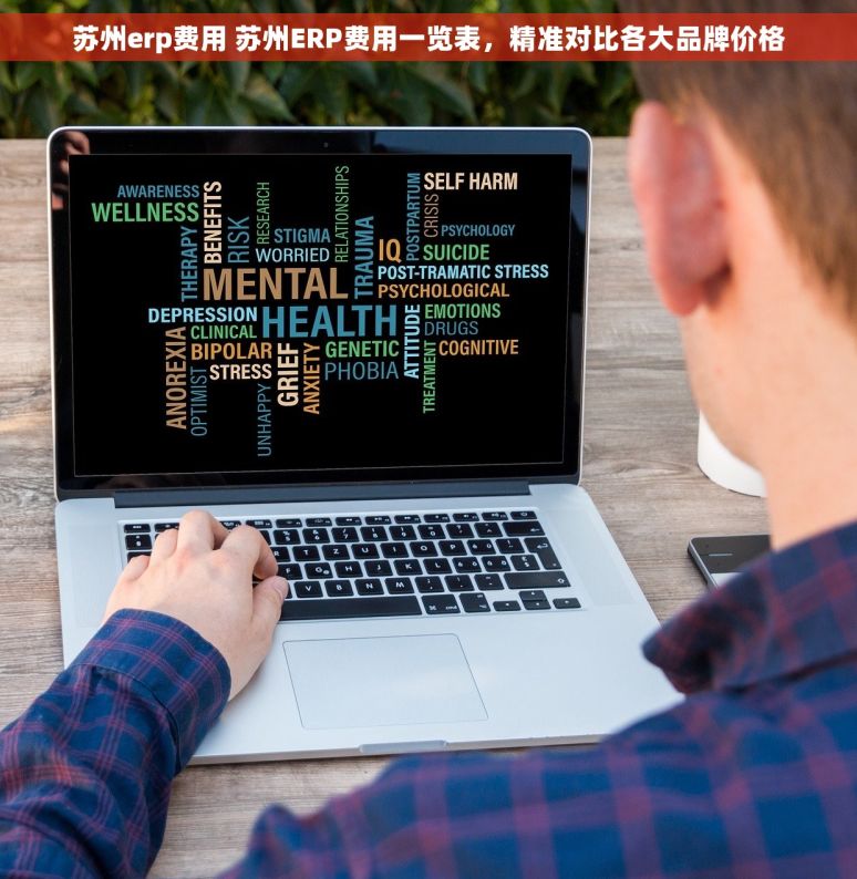 苏州erp费用 苏州ERP费用一览表，精准对比各大品牌价格