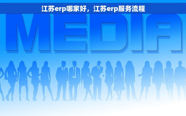 江苏erp哪家好，江苏erp服务流程