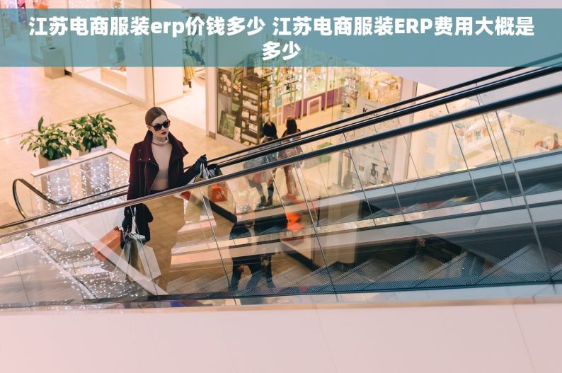 江苏电商服装erp价钱多少 江苏电商服装ERP费用大概是多少