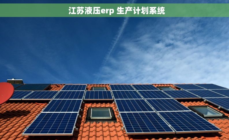   江苏液压erp 生产计划系统
