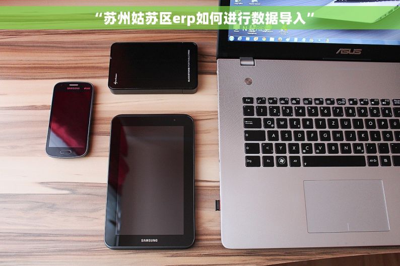  “苏州姑苏区erp如何进行数据导入”
