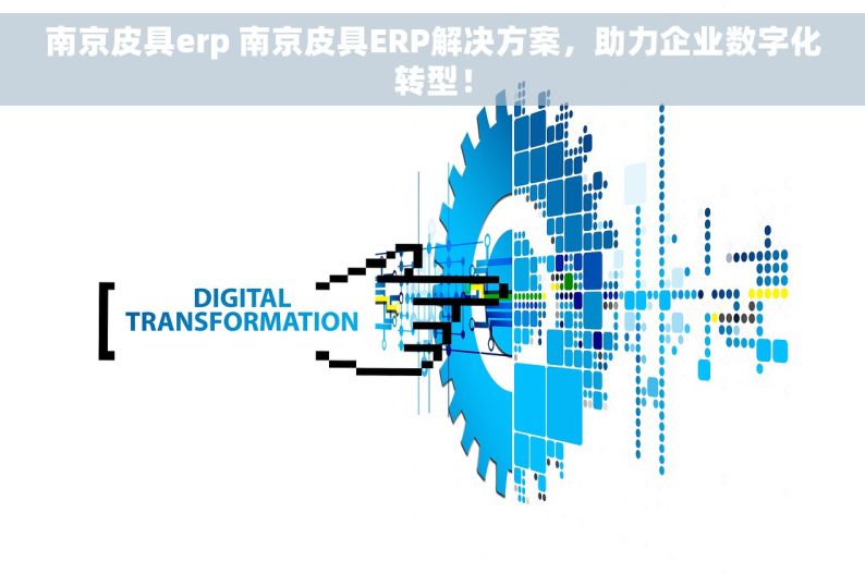南京皮具erp 南京皮具ERP解决方案，助力企业数字化转型！