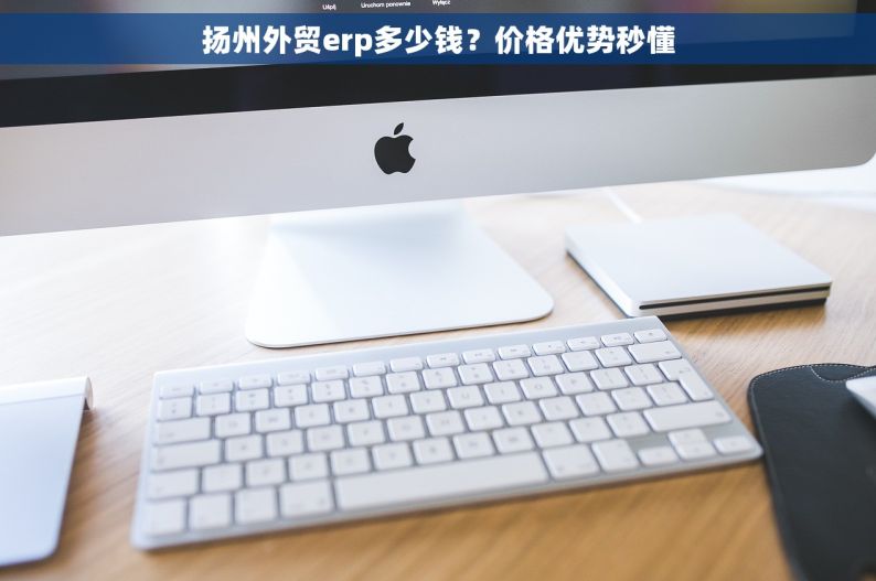 扬州外贸erp多少钱？价格优势秒懂