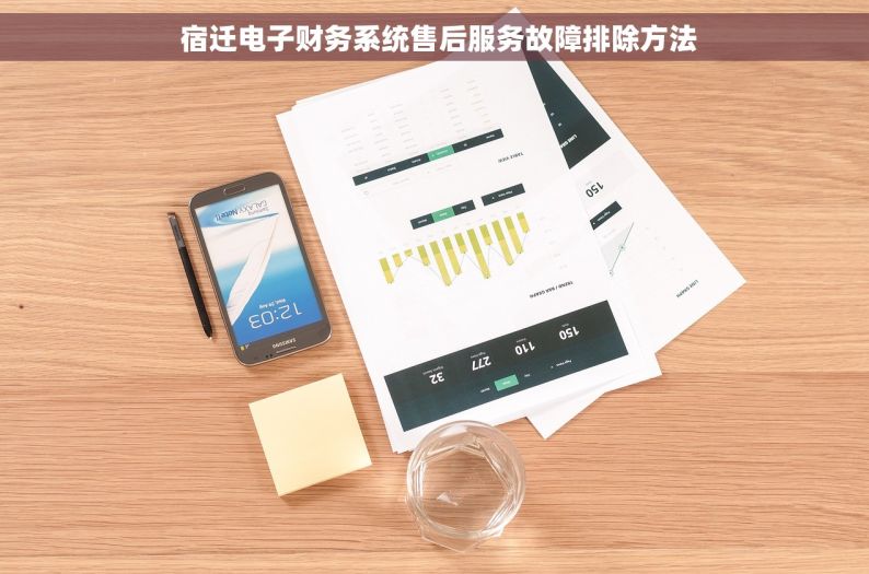  宿迁电子财务系统售后服务故障排除方法