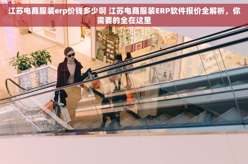 江苏电商服装erp价钱多少啊 江苏电商服装ERP软件报价全解析，你需要的全在这里
